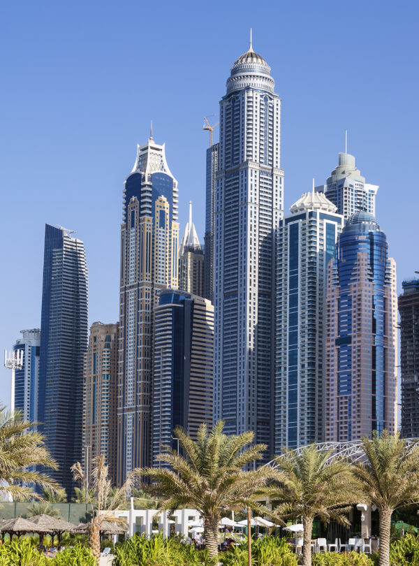 skyscrapers and palm trees